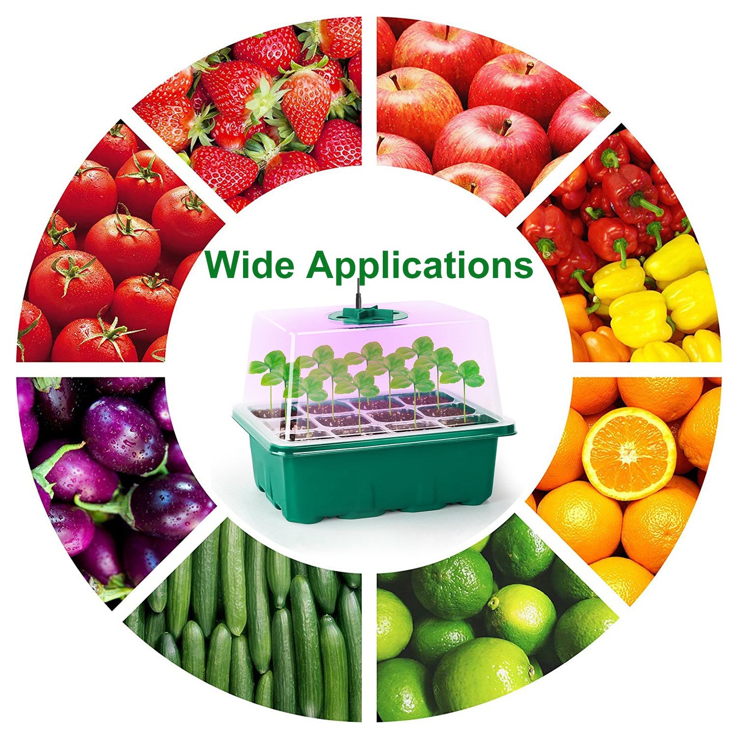 5-Pack Seed Starter Tray Kit with Grow Light & Humidity Dome