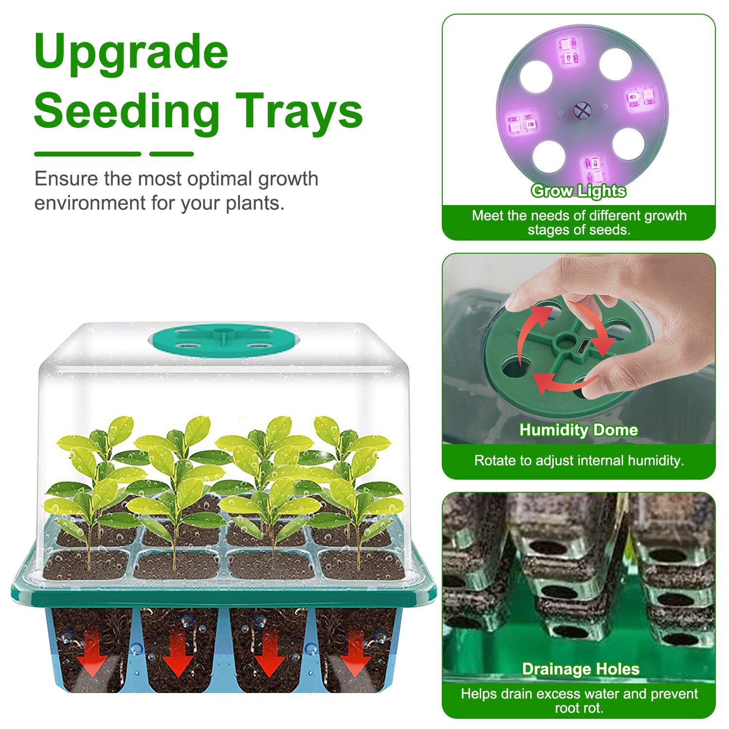 5-Pack Seed Starter Tray Kit with Grow Light & Humidity Dome